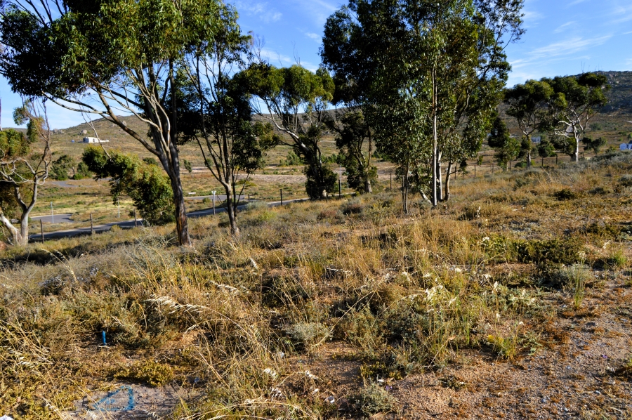 0 Bedroom Property for Sale in Britannica Heights Western Cape